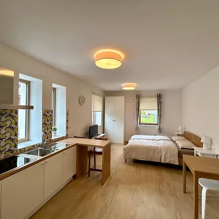 Apartament Gallus *
