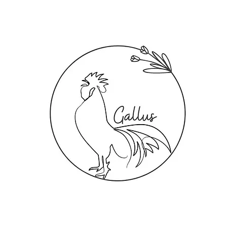Gallus *