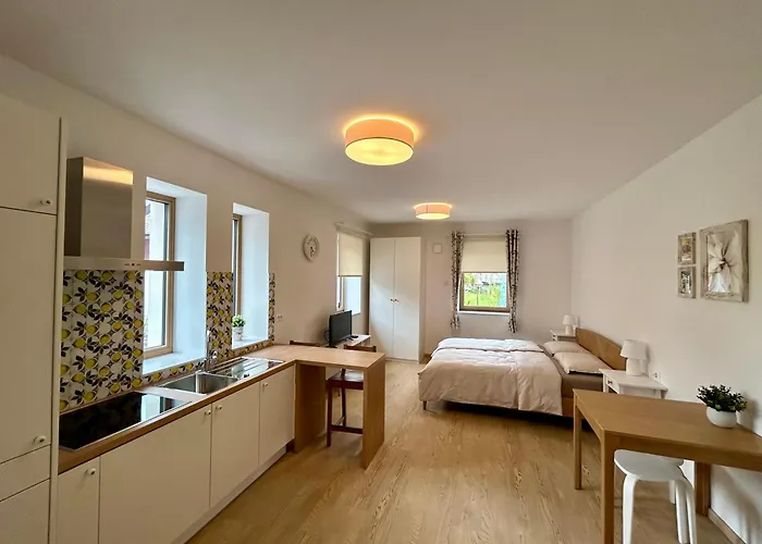 アパート Gallus *