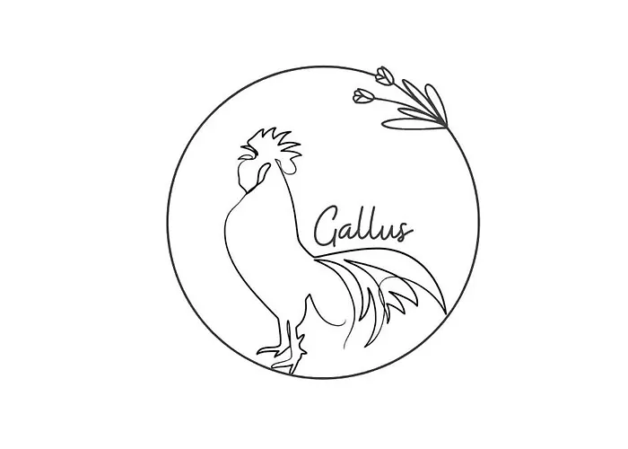 Gallus *